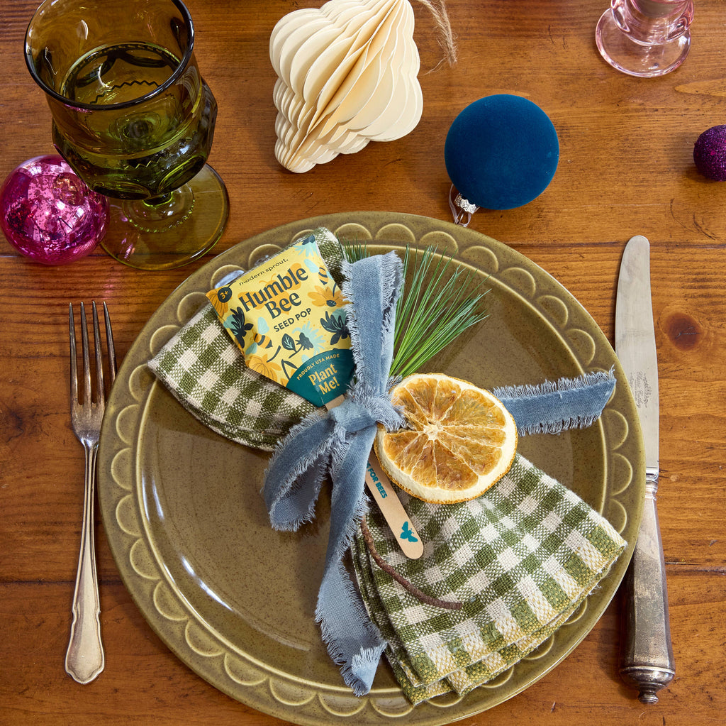 A rustic table features a green plate, checkered napkin, blue ribbon, dried orange slice, pine sprig, Pollinator Seed Pop (Single), green goblet, and festive ornaments—perfect inspiration for your own pollinator garden.