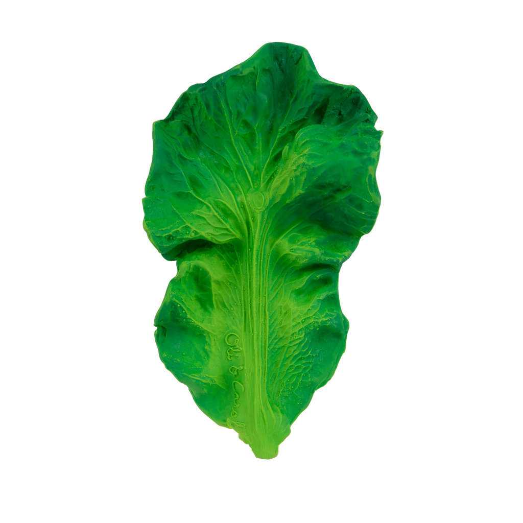 Kendall the Kale Teething Toy, designed to look like a real kale leaf, is shown against a plain white background.