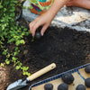 A hand plants a seed ball from the DIY Seed Ball Kit - Rainbow Garden into dark soil beside a leafy plant. Nearby are more non-GMO seed balls on a tray, a gardening trowel, and the kit’s colorful box in the background.