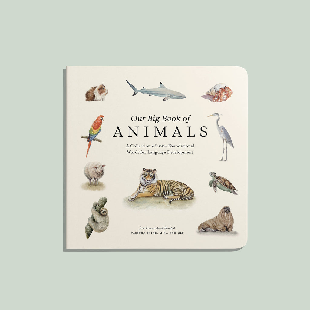 Our Big Book of Animals (Board Book) features illustrated animals like a parrot, tiger, shark, walrus, sheep, guinea pig, and bird. Its subtitle introduces animal vocabulary and foundational words to support language development for babies.