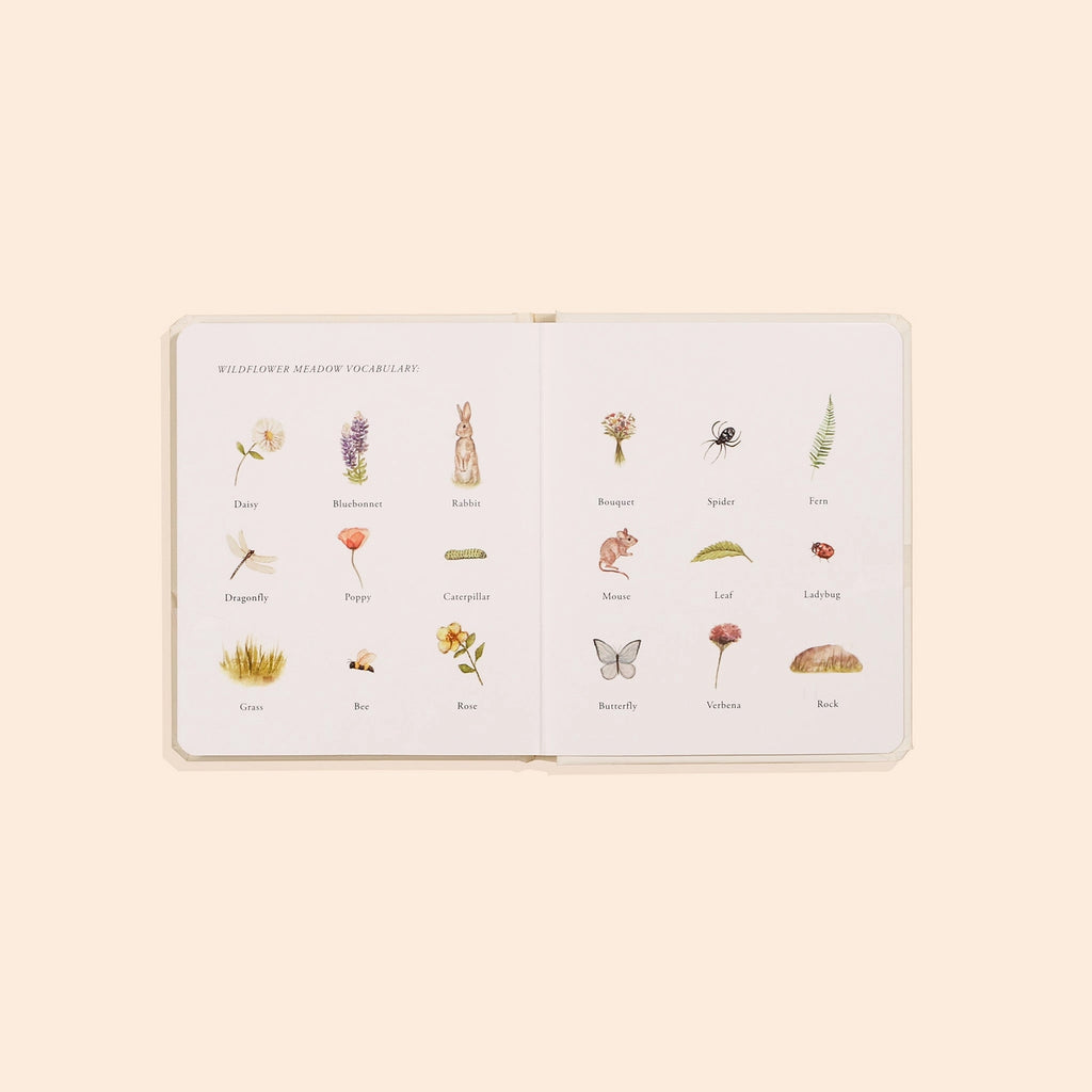 An Our Little Adventures Book Box Set displaying illustrations of various plants and insects with labeled names, such as daisy, mushroom, dragonfly, and spider, on a light beige background.