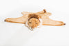 The Costume - Lion is a plush lion rug made of soft faux fur, featuring an attached lion head with a calm face, mane, and tail. It lays flat on a white background and showcases the lion’s closed eyes and gentle smile.