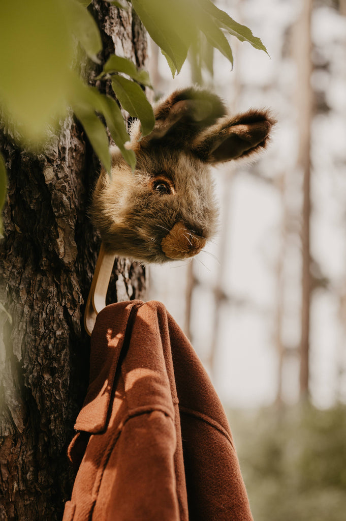 A fuzzy rabbit mask hangs on a Coat Hanger - Brown Hare attached to a tree trunk, with a brown coat draped nearby. Green leaves and blurred trees provide a calm background.