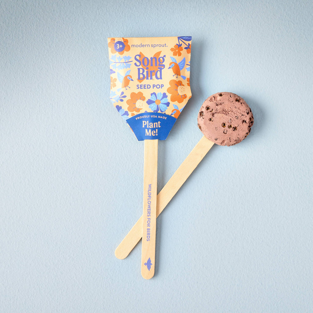 The Pollinator Seed Pop (Single) on a wooden stick comes in colorful packaging labeled "Plant Me! Wildflowers for Birds," and sits beside its round seed pod—ideal for starting your own pollinator garden.