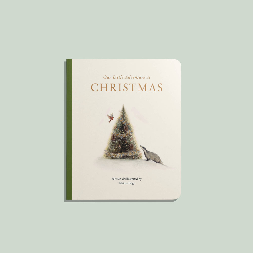 Our Little Adventure at Christmas (Baby's first Christmas)" is a charming board book for toddlers, ideal for building vocabulary or holiday gifting, featuring festive artwork on the cover.