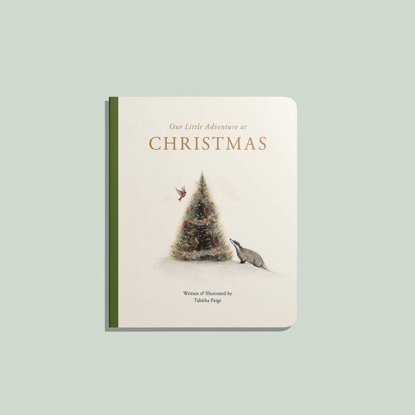 Our Little Adventure at Christmas (Baby's first Christmas)" is a charming board book for toddlers, ideal for building vocabulary or holiday gifting, featuring festive artwork on the cover.