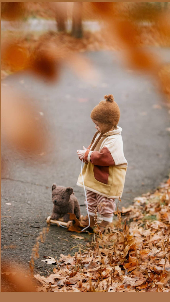 A small child in warm autumn clothes stands on a leaf-covered path, holding Pull-Along Raoul. Fallen leaves surround them, and orange foliage frames the photo, evoking a cozy fall atmosphere while encouraging the development of gross motor skills.