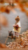 A small child in warm autumn clothes stands on a leaf-covered path, holding Pull-Along Raoul. Fallen leaves surround them, and orange foliage frames the photo, evoking a cozy fall atmosphere while encouraging the development of gross motor skills.