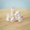 The Bumbu Handmade Wooden White Bunny Rabbit Family Set features five eco-friendly wooden bunnies with pink ears and black eyes, arranged on a light wood surface against a soft blue background—ideal for Montessori toy collections.