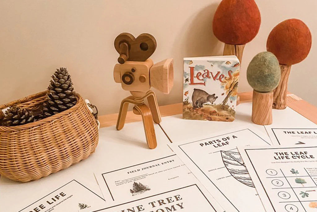 A tabletop displays a wicker basket of pinecones, the Father’s Factory Super 16 Pro Wooden Toy Camera with Tripod, colorful felt trees, the children’s book "Leaves," and several printed educational worksheets about trees and leaves.