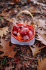 The Sticky Lemon Treasure Bag - Dewy Lilac rests among fallen brown leaves and twigs in a forest, filled with red and white spotted toy mushrooms.