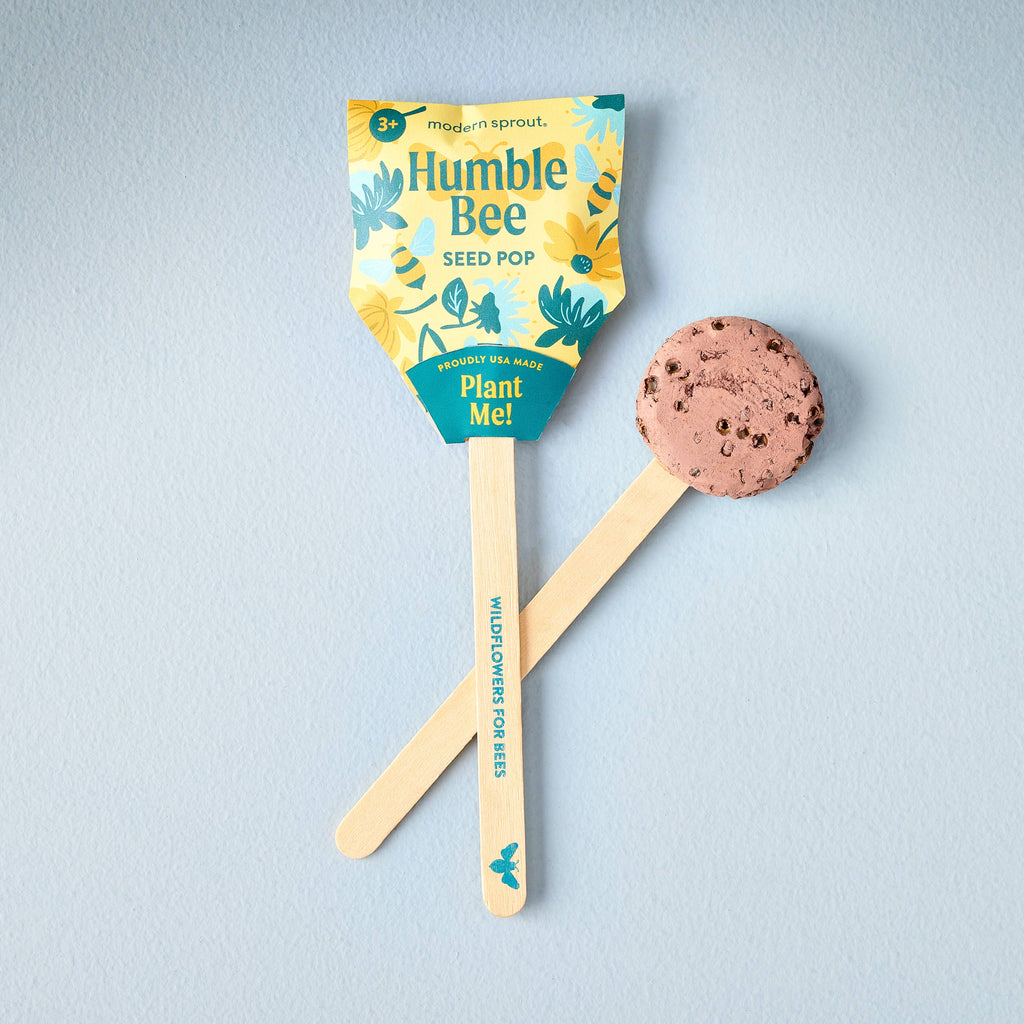 A Pollinator Seed Pop (Single), featuring packaging and a round seed ball on a wooden stick labeled "Wildflowers for Bees," is displayed on a light blue textured surface—ideal for starting your pollinator garden.