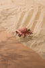 A Handmade Wooden Octopus sits on smooth sand, with subtle wave-like patterns and a gradient from light to dark sandy tones creating a serene background.