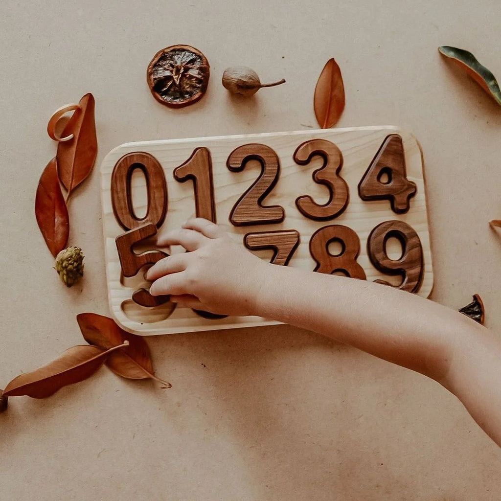 A child's hand interacting with a Walnut Number Puzzle 0-9, surrounded by scattered autumn leaves and dried botanical elements.