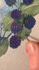A hand uses a small paintbrush to add detail to a watercolor painting of ripe blackberries and green leaves on textured paper, capturing the delicate charm found in the Handmade Holzwald Maya Fairy and Postcard.