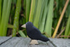 A handmade Holzwald Bird - Raven figurine with black wood, a light-colored beak and base, standing on a wooden surface against a background of tall green grass.
