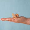 A hand holds the Bumbu Handmade Wooden Spiral Shell, featuring radiating dark lines and a spiral shape like a treasure, set against a plain light blue background.