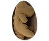 A Maileg stuffed elephant toy made of fabric, curled up cozily inside an oval-shaped Gantos box, viewed from above. The elephant is a solid tan color with visible stitching.