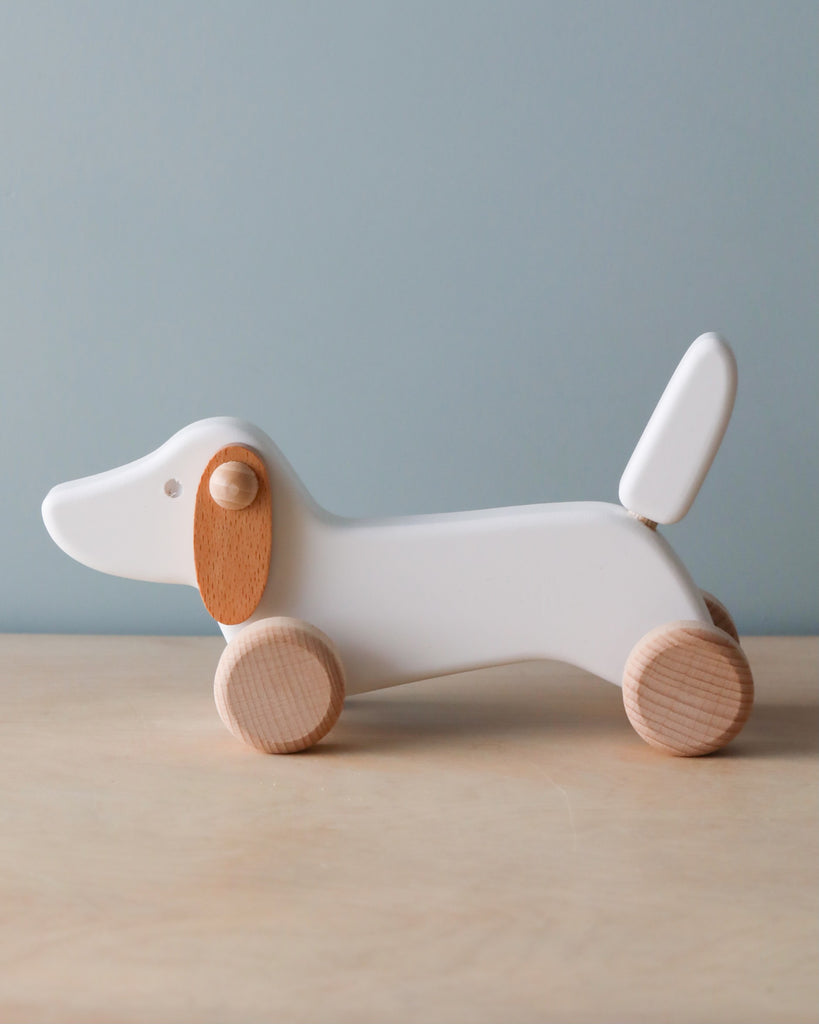 Wooden white dachshund dog push toy. Natural color countertop and light blue background. 