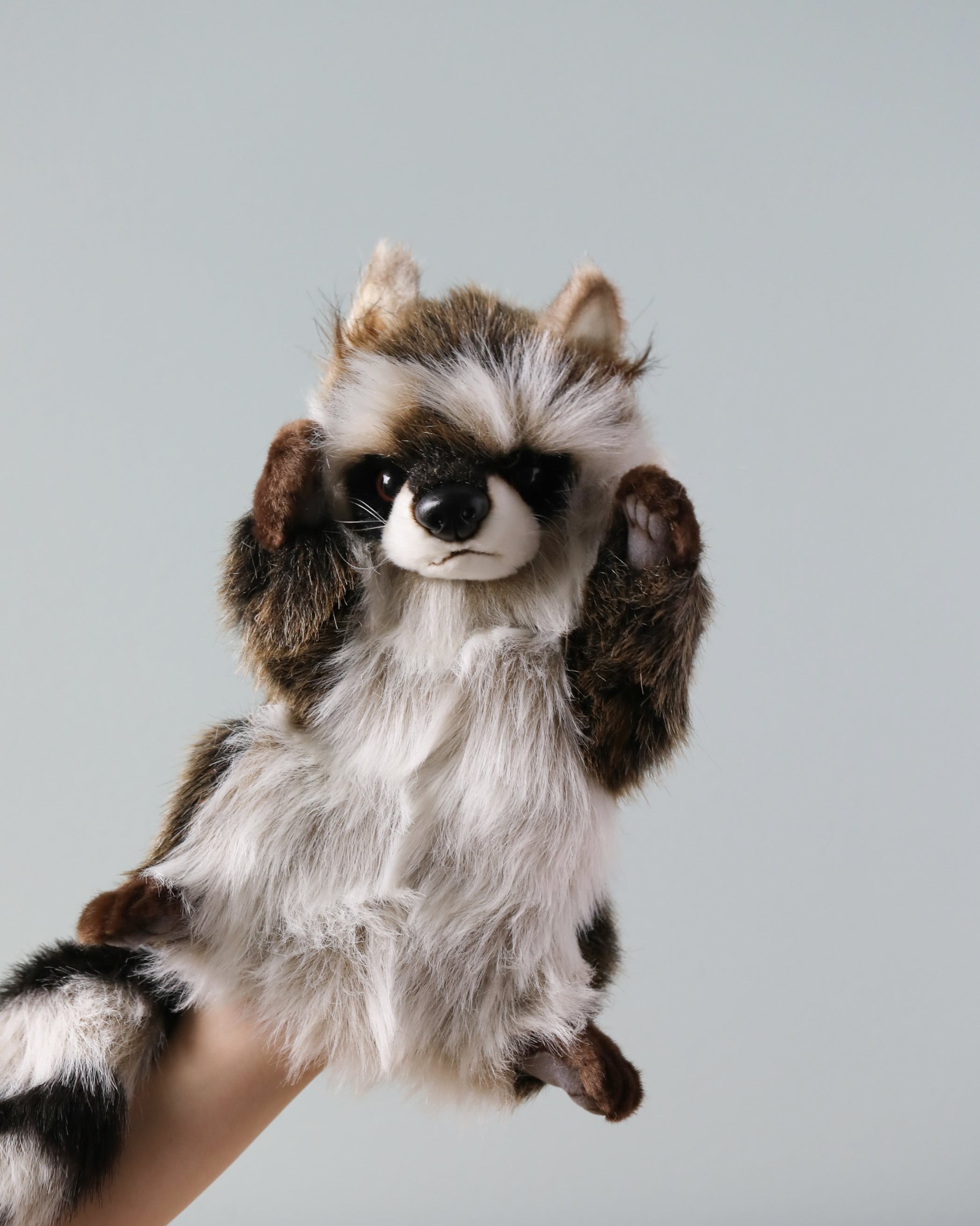 Raccoon Puppet– Odin Parker