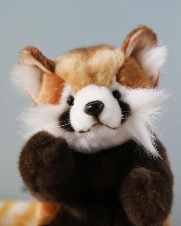 Close-up of an artisan crafted Red Panda Puppet, featuring detailed facial features with a black nose and fluffy white and brown fur, set against a soft blue background.