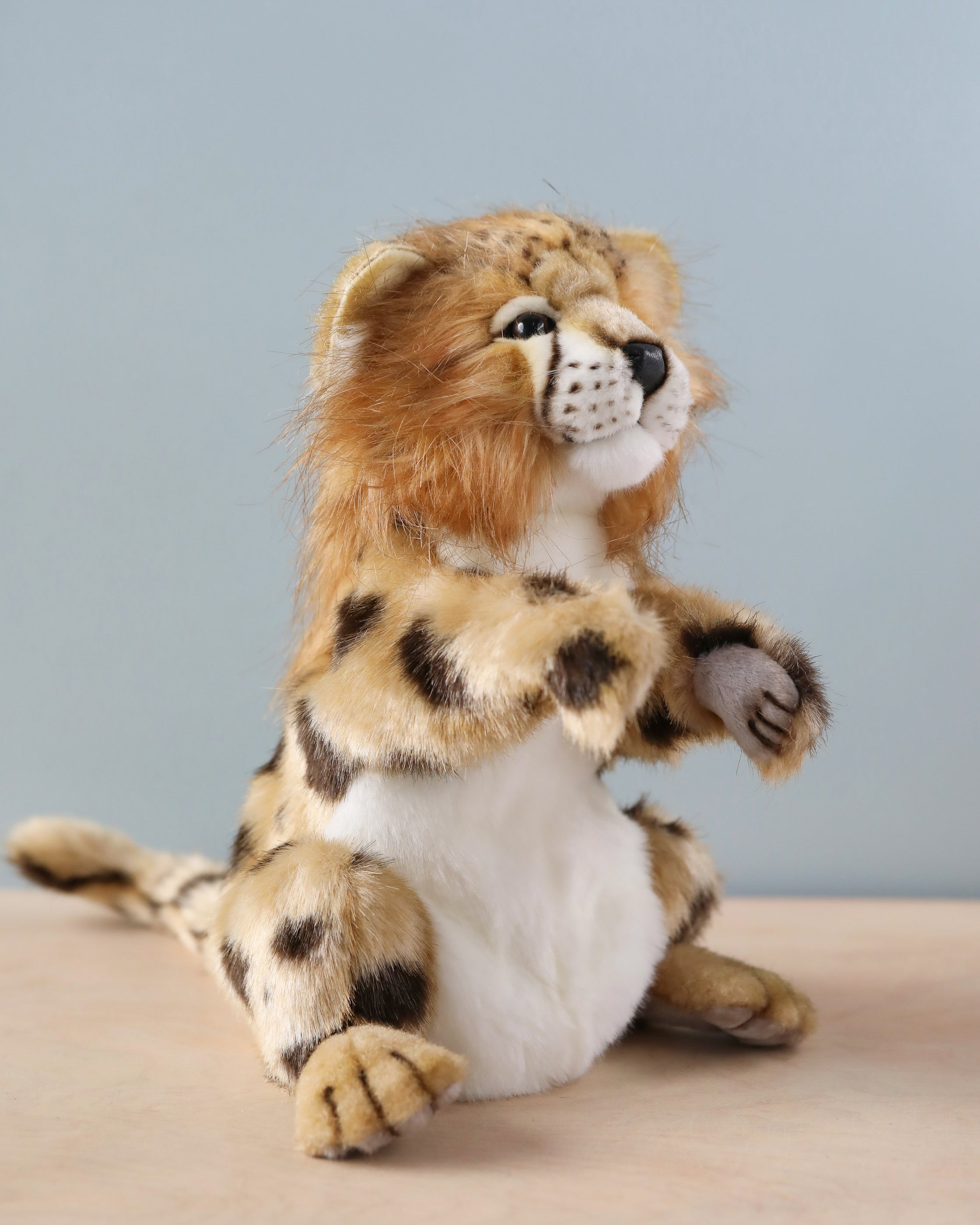 Cheetah Puppet– Odin Parker