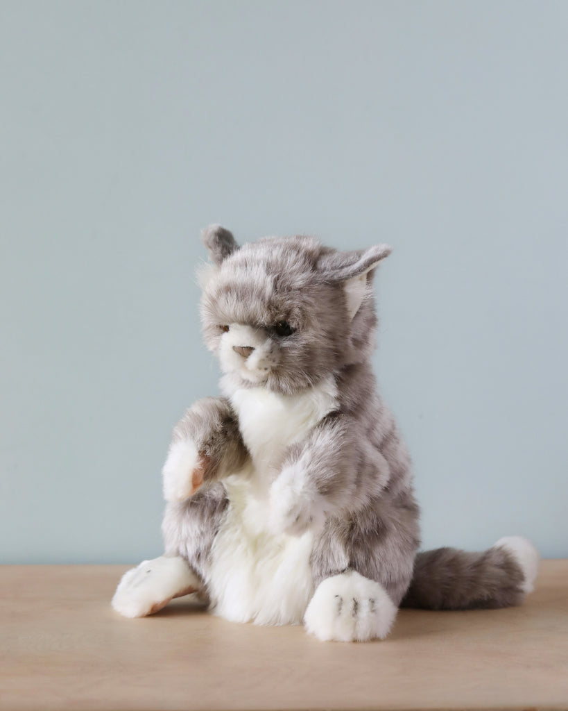 cat puppet stuffed animal