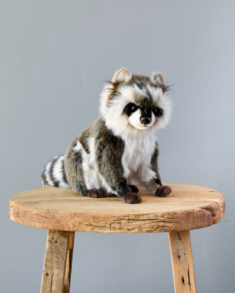 A realistic Raccoon Stuffed Animal sitting on a rustic wooden stool against a gray background. The toy features detailed fur patterns and lifelike eyes.