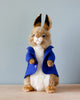 bunny in blue jacket stuffed animal
