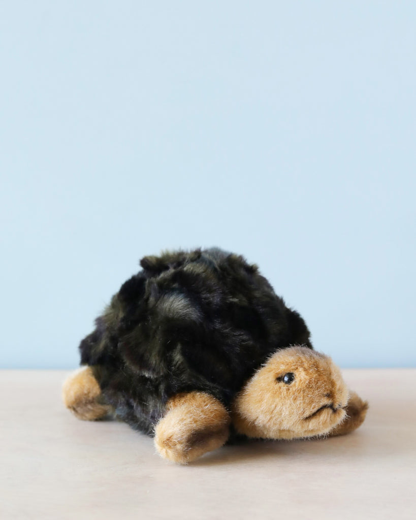 A Steiff Slo Tortoise 8" plush toy with a dark shell and a light brown head and limbs, resting on a wooden surface against a soft blue background.