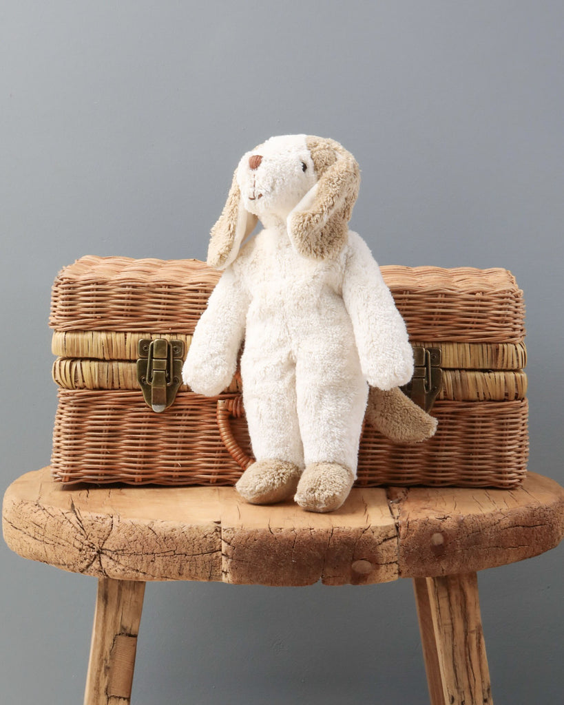 A Senger Naturwelt Stuffed Animal - Dog, made from organically grown cotton, sitting atop a wicker suitcase, which is placed on a rustic wooden stool against a grey background.