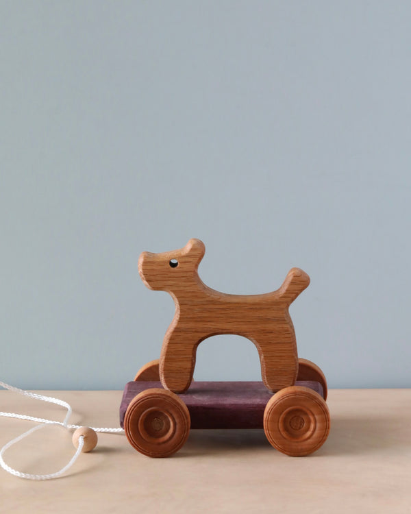 The Handmade Wooden Dog Pull Toy, crafted from oak and coated in beeswax, rests on a light-colored surface. This charming toy features four wheels and a pull string adorned with a wooden bead. The backdrop is a plain, light blue wall.