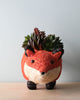 A whimsical Animal Planter - Fox crafted from sustainable coco coir, holding a variety of succulent plants, positioned against a plain grey background.