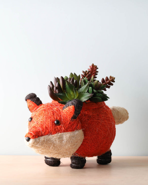 A whimsical Animal Planter - Fox made of orange and white twine featuring black accents, holding a succulent plant, against a plain light background. This piece is perfect for those who appreciate sustainable home décor.