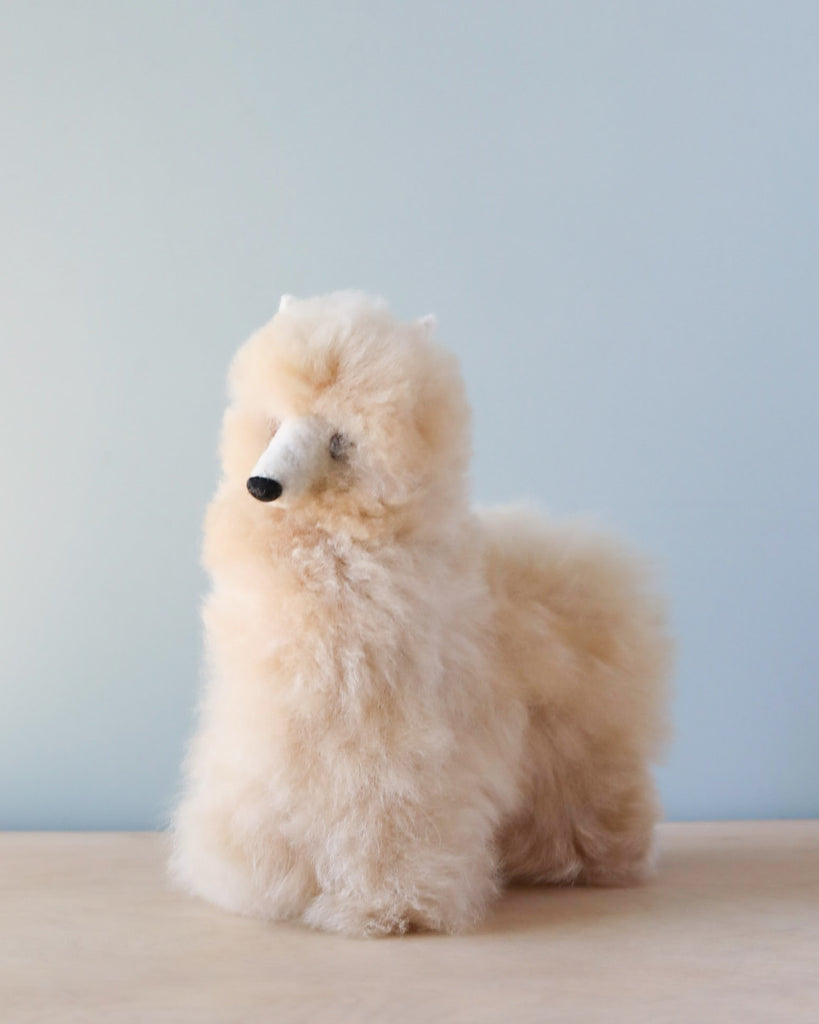 The Small Fluffy Alpaca Stuffed Animal with a creamy white fur coat sits against a light blue background, its fur groomed to appear voluminous and soft.
