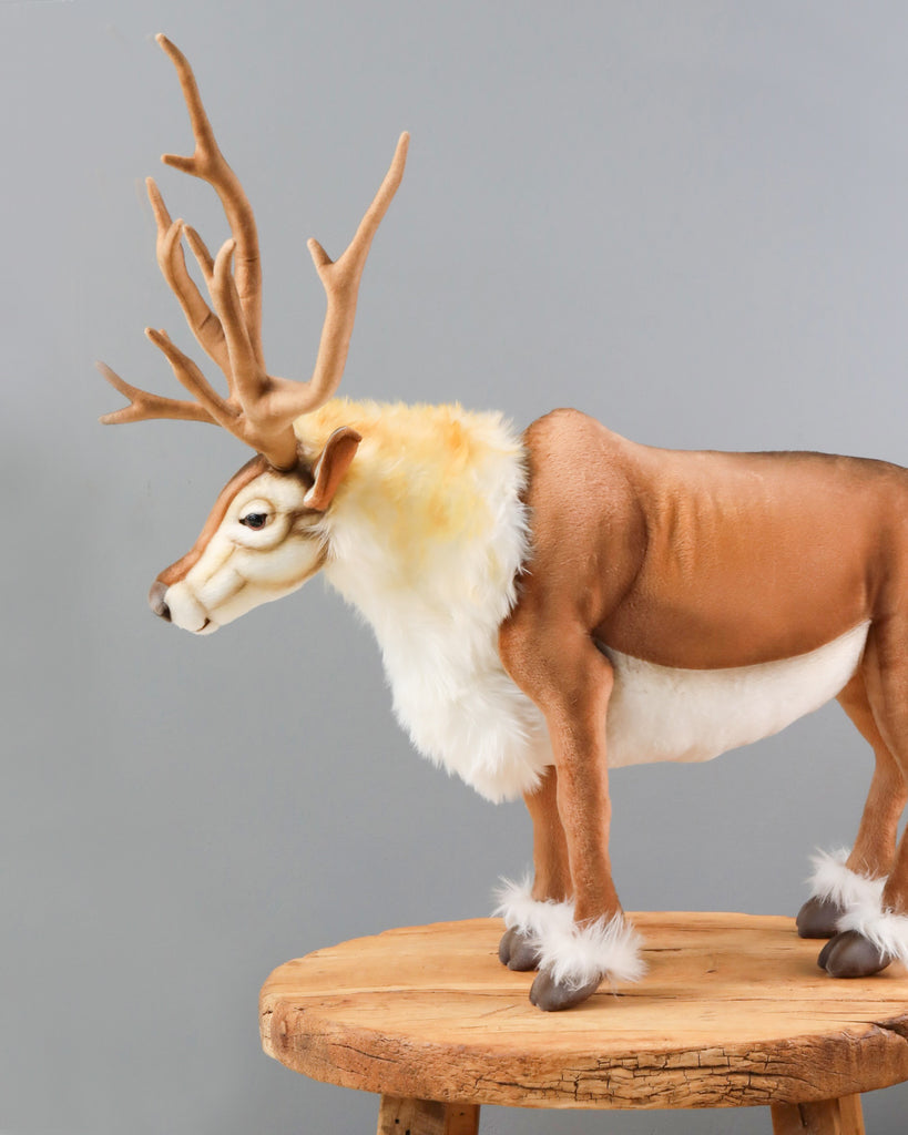 A realistic model of a Medium Reindeer Stuffed Animal with prominent antlers, creamy fur, and a brown torso, standing on a wooden platform against a grey backdrop. This hand-sewn plush animal showcases remarkable craftsmanship.