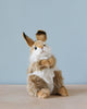 Thumper Rabbit Stuffed Animal crafted with high-quality materials, featuring brown and white fur, sitting on a wooden surface against a light blue background. The rabbit has upright ears and is looking upwards.