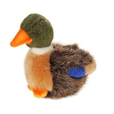 duckling stuffed animal