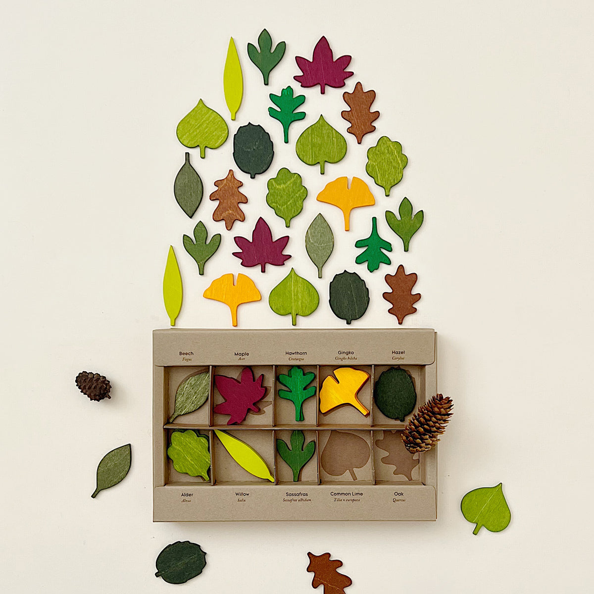 Woodland Leaves– Odin Parker