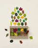 A display of colorful, assorted Woodland Leaves arranged in a tree-like pattern above a labeled box containing samples of real leaves and a pine cone on a pale background.