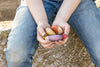 A child holding Grapat Insects, dyed with non-toxic dyes, in their cupped hands, seated outdoors with denim jeans visible, emphasizing themes of playfulness and simplicity.