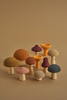 A collection of Raduga Grez Handmade Wooden Mushrooms in various shapes and colors arranged on a beige background. The mushrooms display a natural palette ranging from light beige to deep brown and black, all finished with non