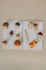 An open sketchbook with drawings of mushrooms, next to which are arrayed various Raduga Grez Handmade Wooden Mushroom models with different cap shapes and colors, on a neutral background.