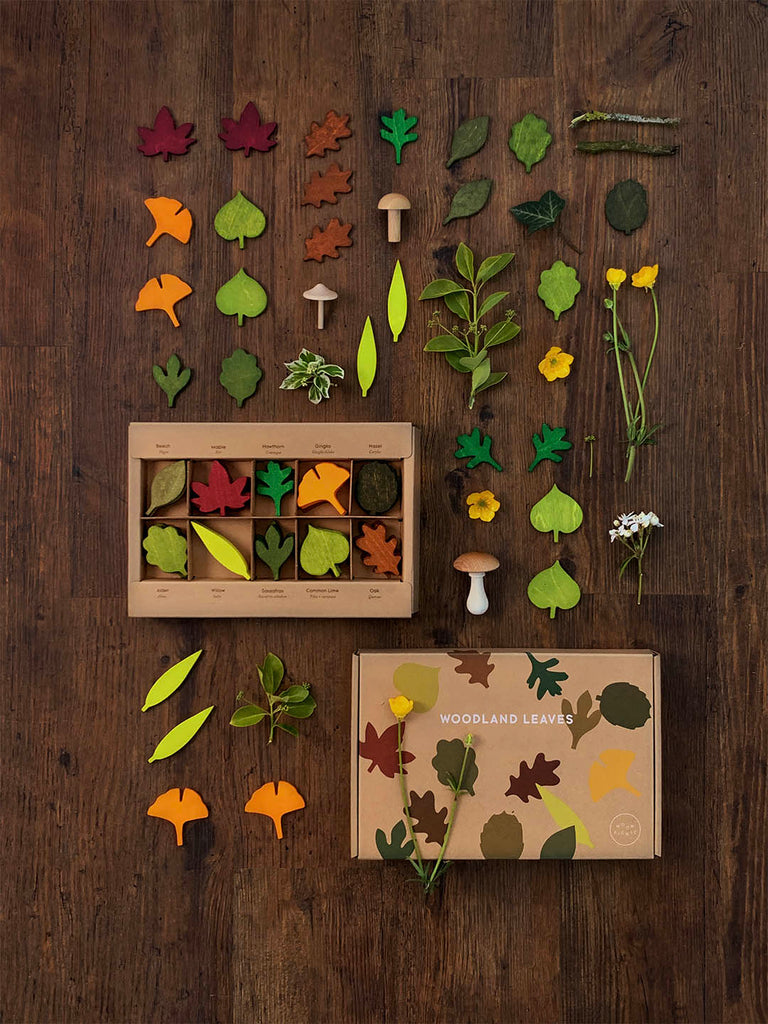 An assortment of colorful paper Woodland Leaves and small mushrooms arranged neatly on a wooden surface, alongside a box labeled "wooden leaves.