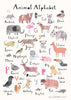 Sentence with product name:
Illustration of an Animal Alphabet Poster, featuring various animals for each letter, a to z, including an aardvark, flamingo, and koala, depicted in a colorful, whimsical style.