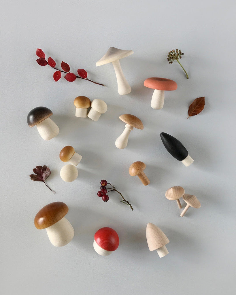 Wooden mushroom toys laying on a flat surface.