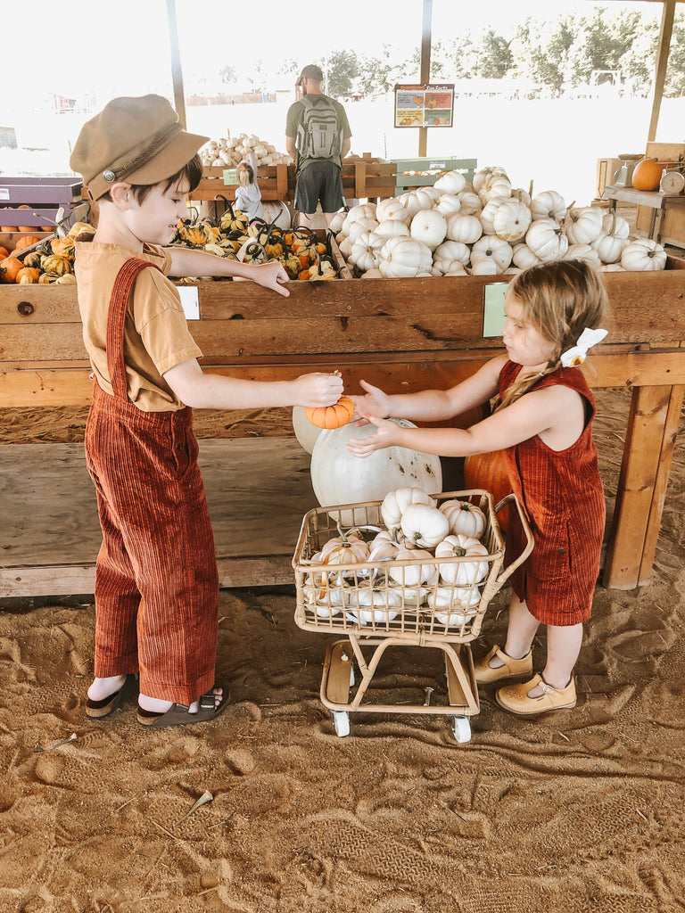 Two children in matching overalls and caps choosing pumpkins at a farm stand, with a girl handing a small pumpkin to a boy from her Rattan Grocery Shopping Cart.