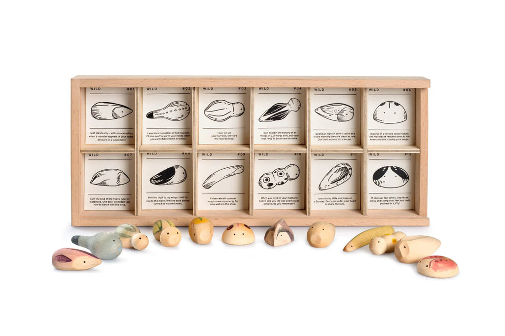 Wooden display case containing cards illustrating different bird species next to a collection of small, bird-shaped wooden figurines from the Grapat Wild Exploration Play Set on a white background.