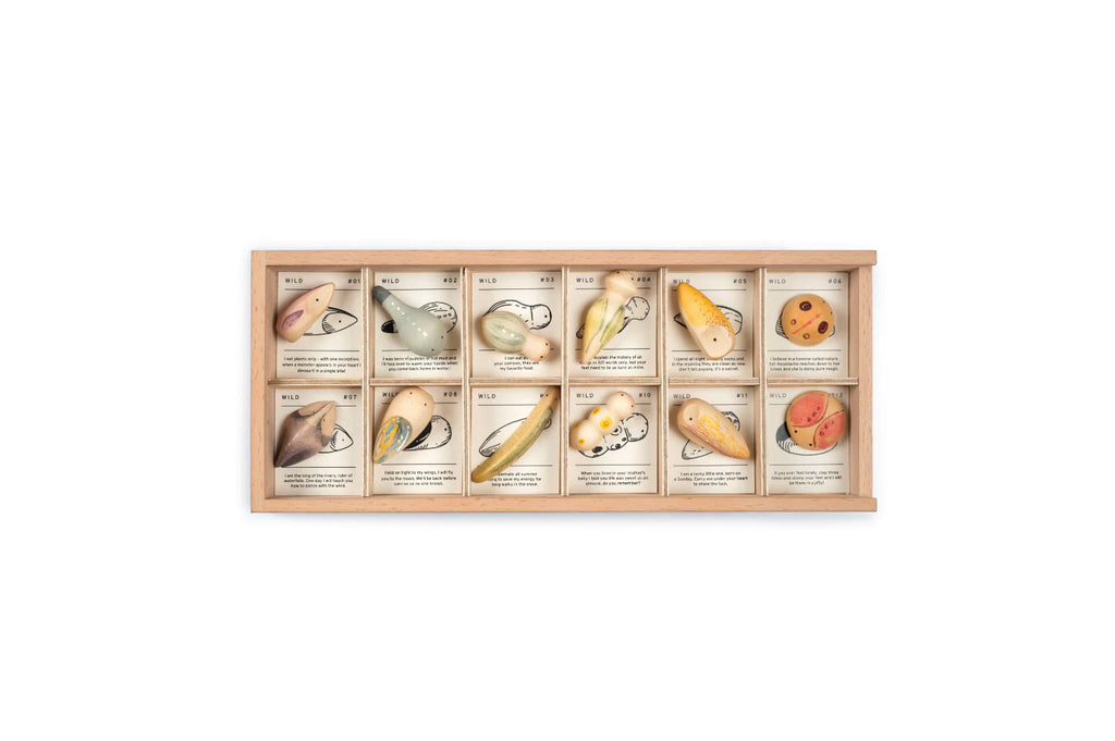 A Grapat Wild Exploration Play Set containing various creatures from the fauna realm, each placed in its designated section with informational tags, against a white background.